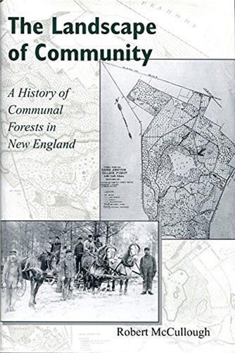 Book cover for The Landscape of Community